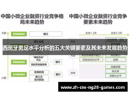 西班牙男足水平分析的五大关键要素及其未来发展趋势